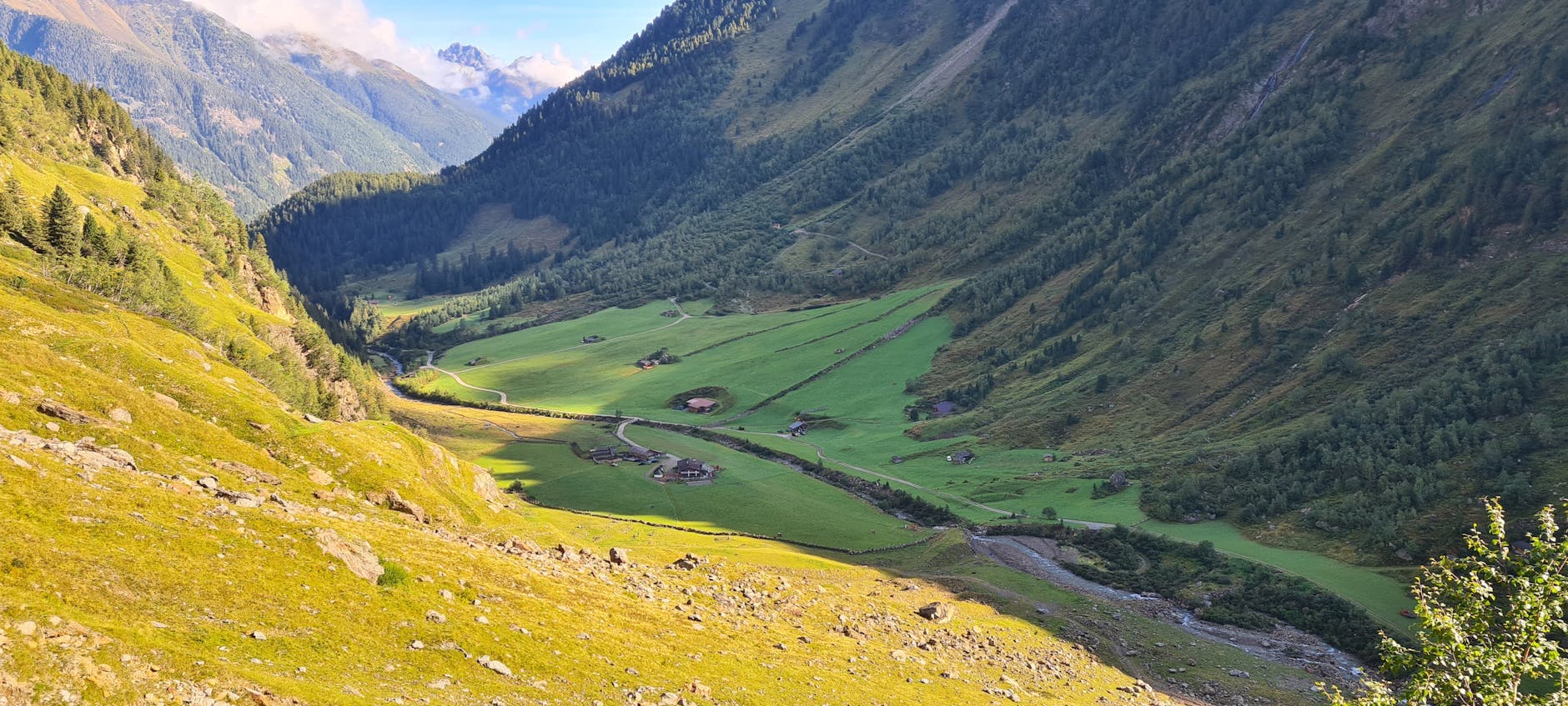 Almpanorama im Pinzgau